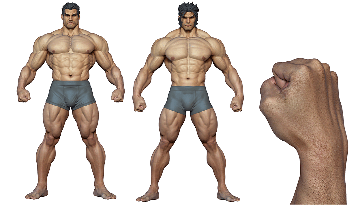 Muscular 3d male body model download